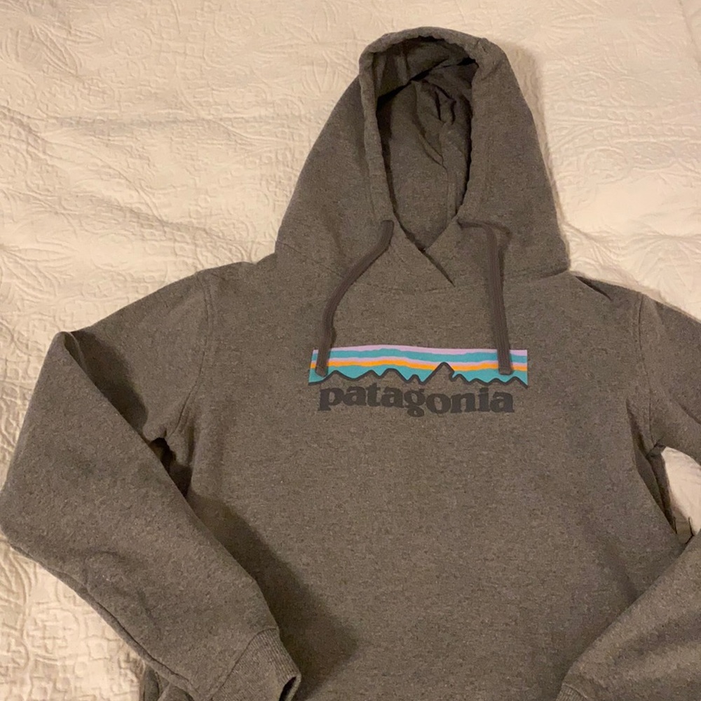 Patagonia Hoodie